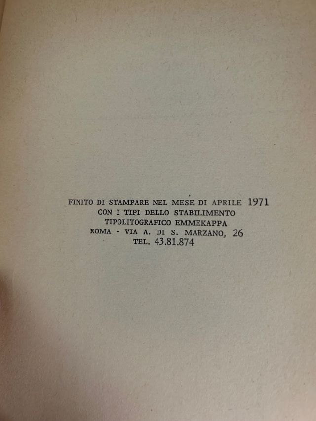 Romanzo. Di gemelle si muore