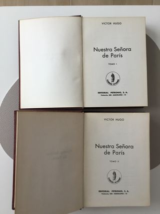 "Nuestra señora de Paris"V. Hugo