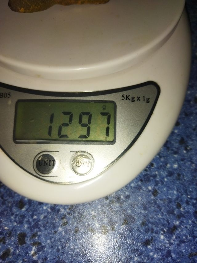 fagiani antichi grandi e pesanti in bronzo