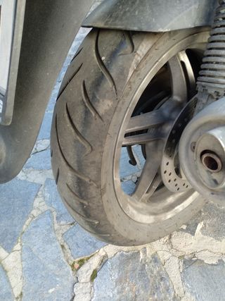 MALAGUTI PASSWORD 250