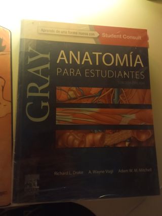 Anatomía de Gray para estudiantes 