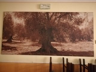 Quadri grandi in tela circa 250cm