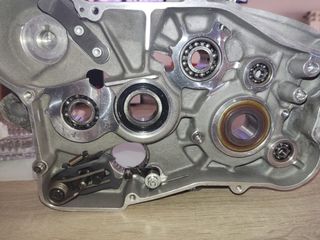 quad gas gas Wild 300