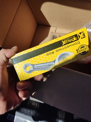 quad gas gas Wild 300