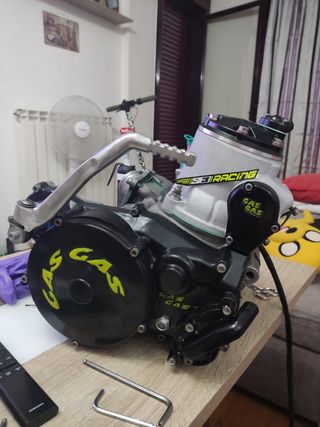 quad gas gas Wild 300