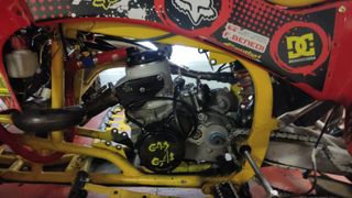 quad gas gas Wild 300