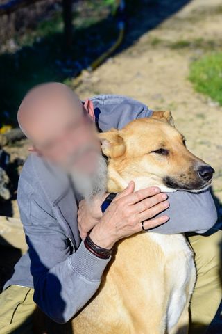 fotografo de mascotas