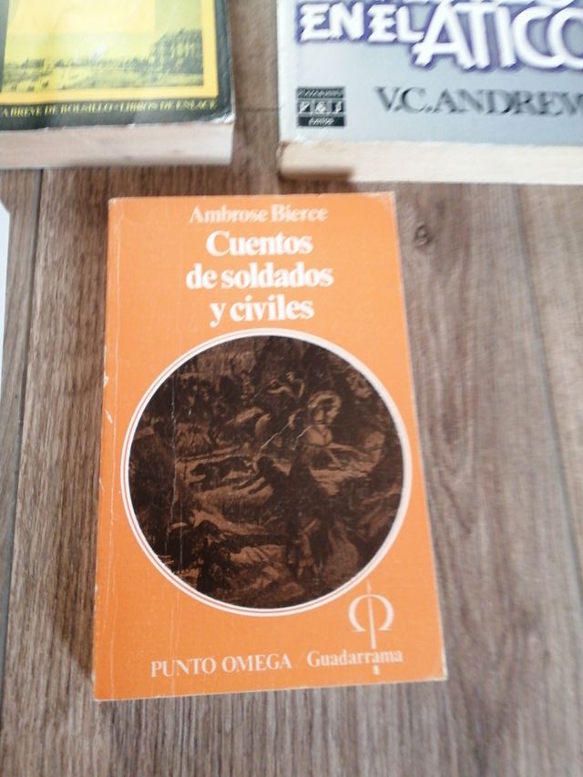 Libri di letteratura inglese e nordamericana