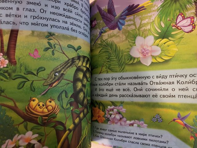 libro in lingua russa