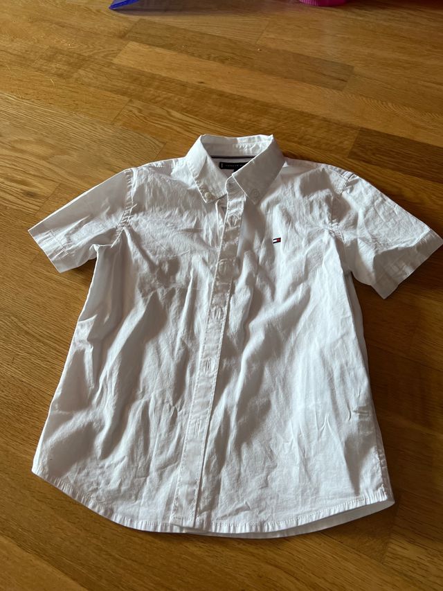 Camisas niño tommy 5 años