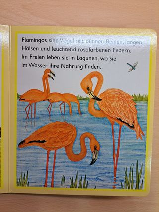 Libro per bambini Im Zoo lingua tedesca Paletti