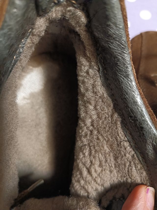 scarponcini  in camoscio da donna marroni