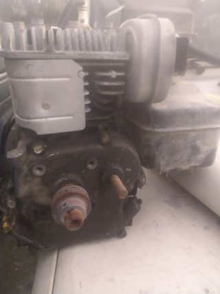 Motor gasolina 5 CV