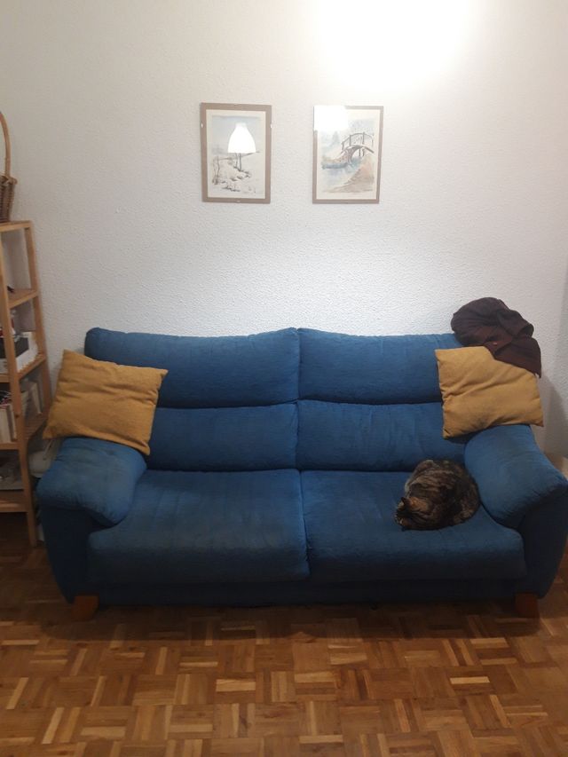 2 sofás, 3 y 2 plazas. Extraíble y muy cómodos de segunda mano por 50 EUR en Madrid en WALLAPOP