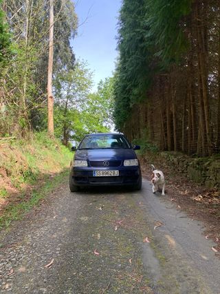 Volkswagen Polo 2001