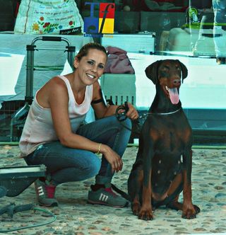 Servicio de residencia canina por día y horas