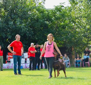 Servicio de residencia canina por día y horas