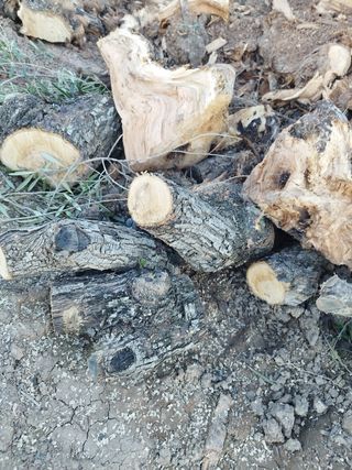 SE VENDE LEÑA DE OLIVO