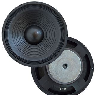 Altavoz  1000w Pro de 15"  audiovision-bdn