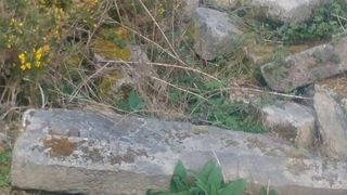 Piedra de Cantería Careada