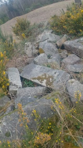 Piedra de Cantería Careada