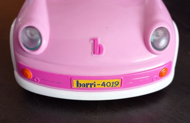 Barriguitas con su coche