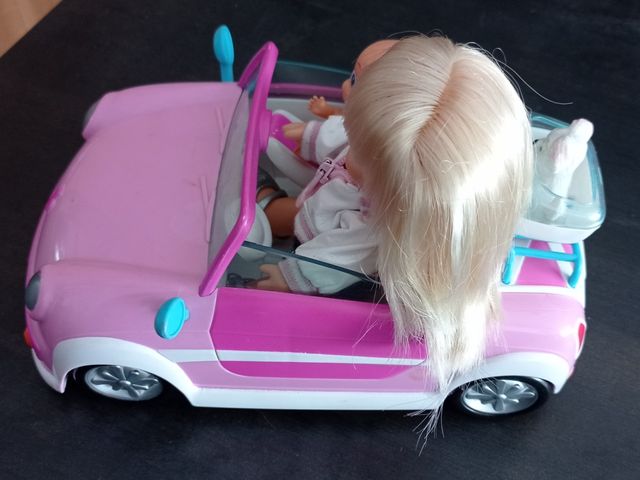 Barriguitas con su coche