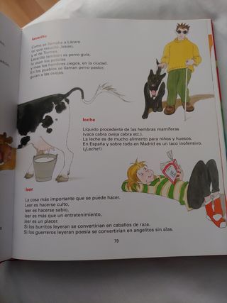 Diccionario estrafalario.