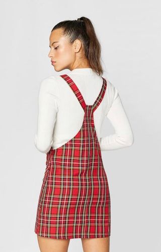 Pichi escocés nuevo