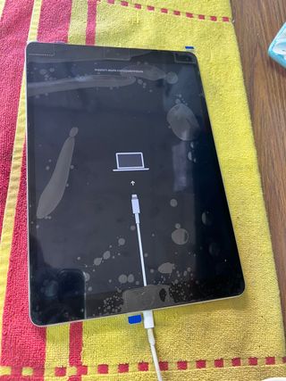 IPad Pro 10,5 wifi+celular con fallo