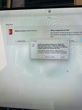 IPad Pro 10,5 wifi+celular con fallo