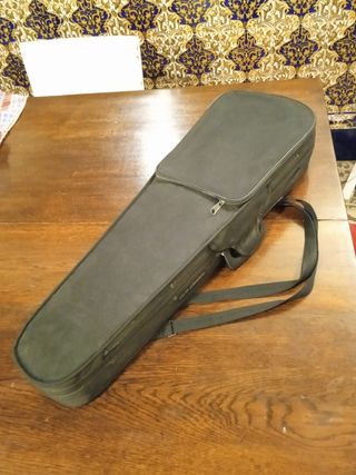 Violín 3/4 marca Carlo Giordano