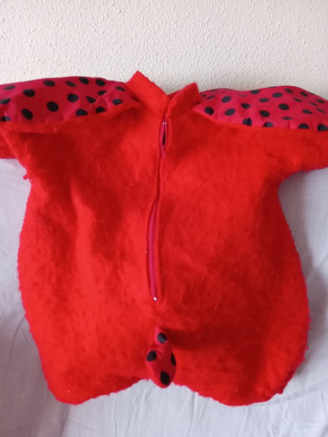 disfraz de carnaval o Halloween