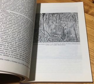 Las culturas superiores de Asia central-oriental