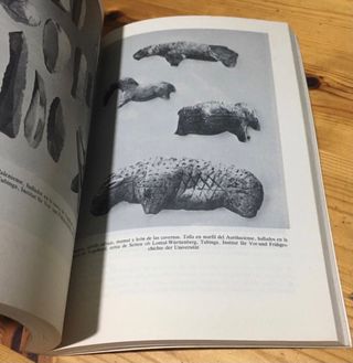 Prehistoria las primeras culturas superiores