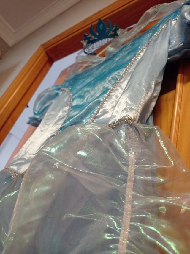 Disfraz de Princesa L Adulta