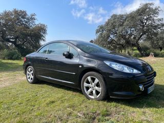 Peugeot 307 2007