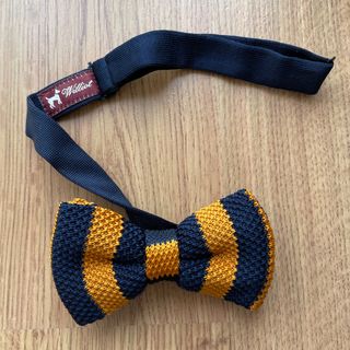 Pajarita para traje Williot