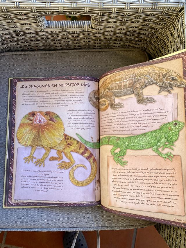 Libro, dragones, mitos y leyendas sin usar