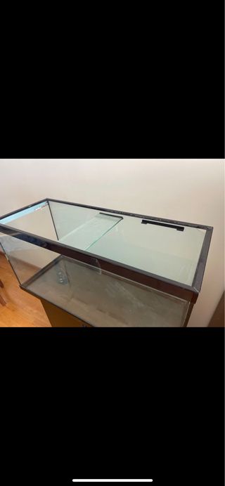Acuario