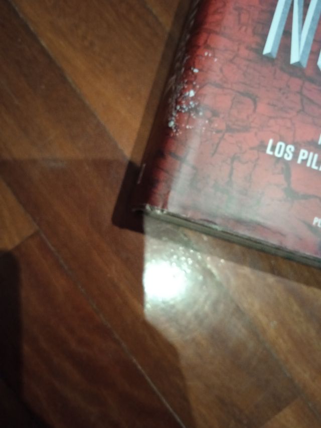 libro nunca Ken Follett