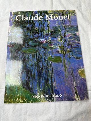 Lote de seis libros sobre Pintores Famosos