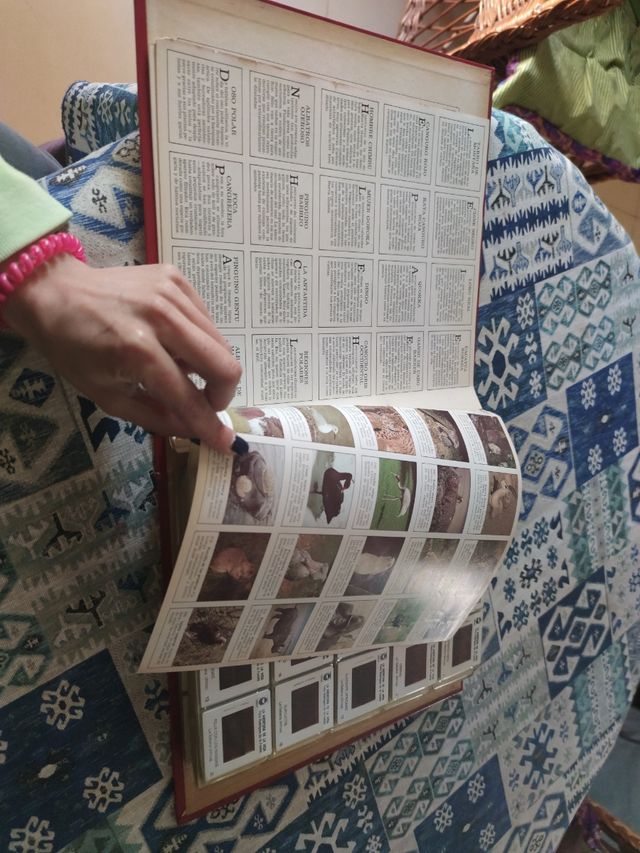 Libro diapositivas Félix Rodríguez de la Fuente