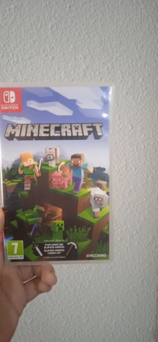 Minecraft para Nintendo swich