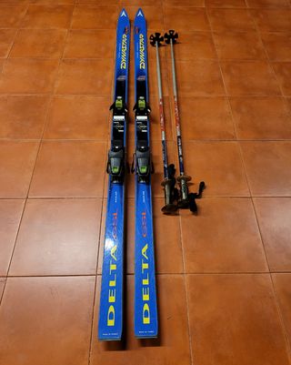 ski Dinastar Delta 1.90
