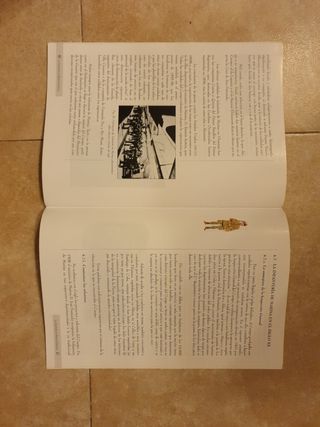 Síntesis histórica Infantería de Marina