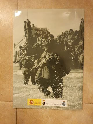 Síntesis histórica Infantería de Marina