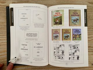 Tintín noir sur blanc. L'aventure des aventures