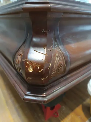 Tratamiento profesional contra carcoma