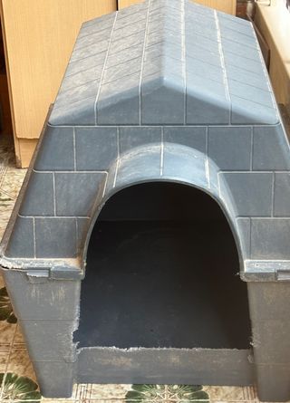 Caseta de perro